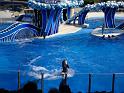 Sea World-189